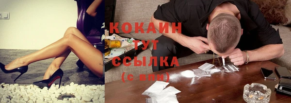 стаф Белоозёрский