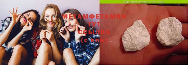 крисы Бронницы