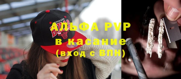 стаф Белоозёрский