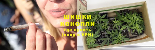 стаф Белоозёрский