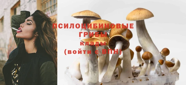 spice Бородино