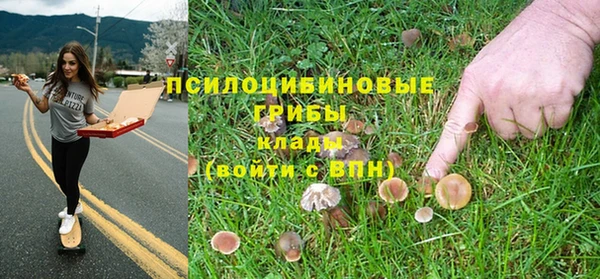 круглые Белокуриха